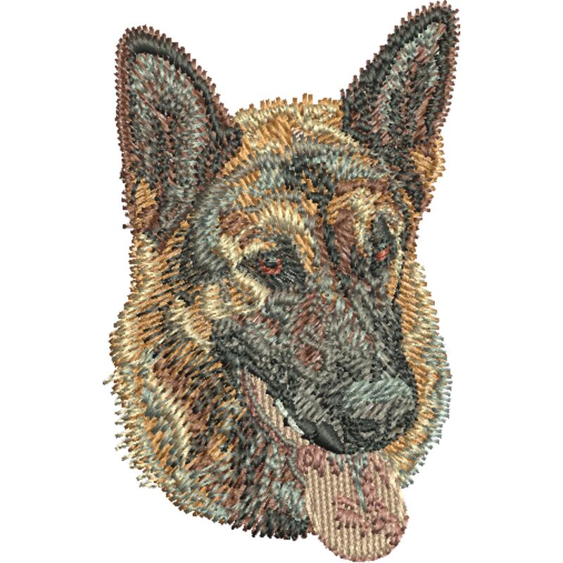 Dv156 2 56 Thumbnail