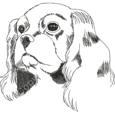 Cavalier Large Thumbnail