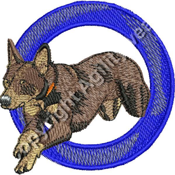 Kelpie Jumping Tyre Thumbnail