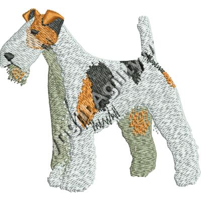 FoxTerrier48371 Thumbnail