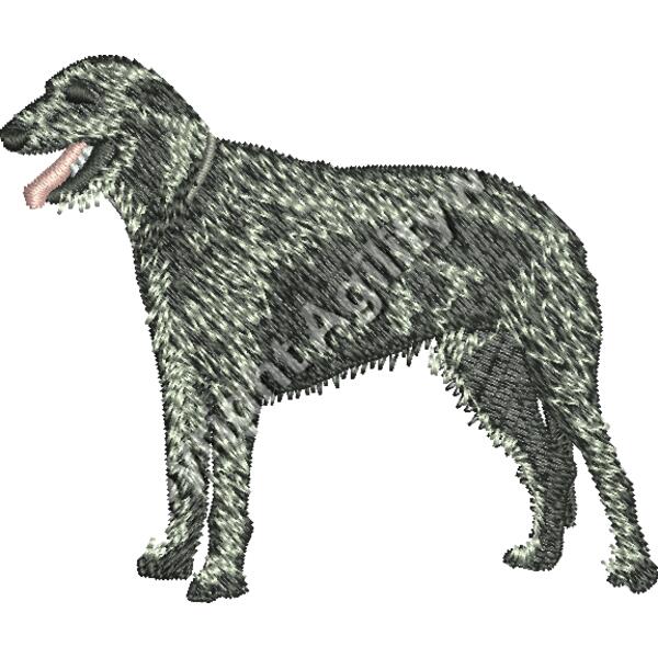 IrishWolfhound48389 Thumbnail