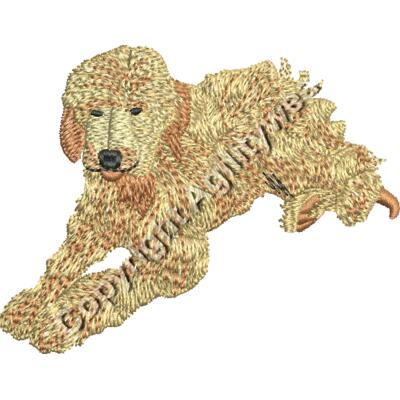 Labradoodle48399 Thumbnail