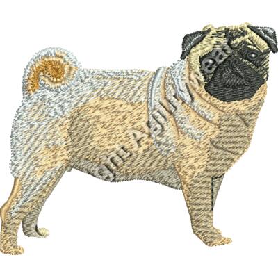 Pug48864 Thumbnail
