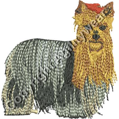 YorkshireTerrier48904 Thumbnail