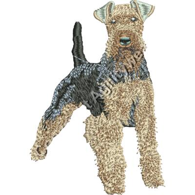 Welsh Terrier 48897 Thumbnail