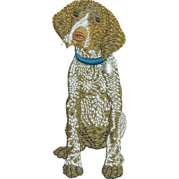 GermanShorthair48374 Thumbnail