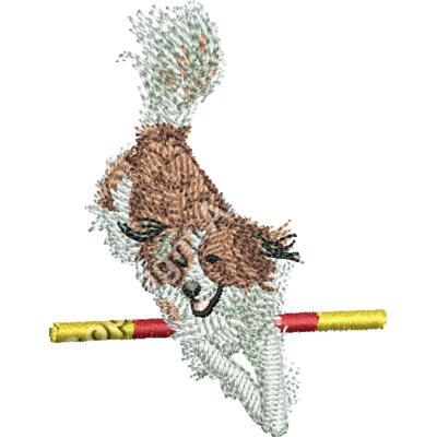 kooikerjumpingcap Thumbnail