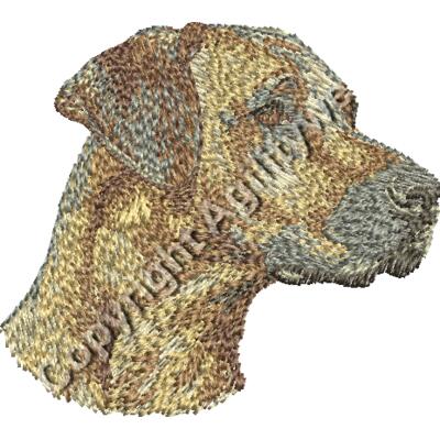 Dn297 2F16 Thumbnail