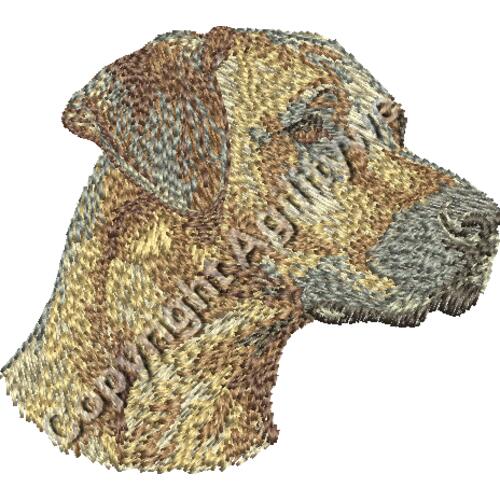 Dn297 2F16 Thumbnail