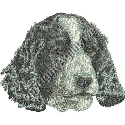 Dv377 2 16 Thumbnail