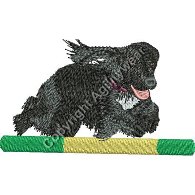 Agility Cocker Thumbnail