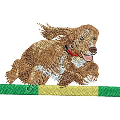 Agility Cocker Thumbnail