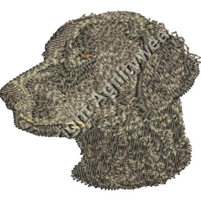 Brown Curly-Coated Retriever Thumbnail