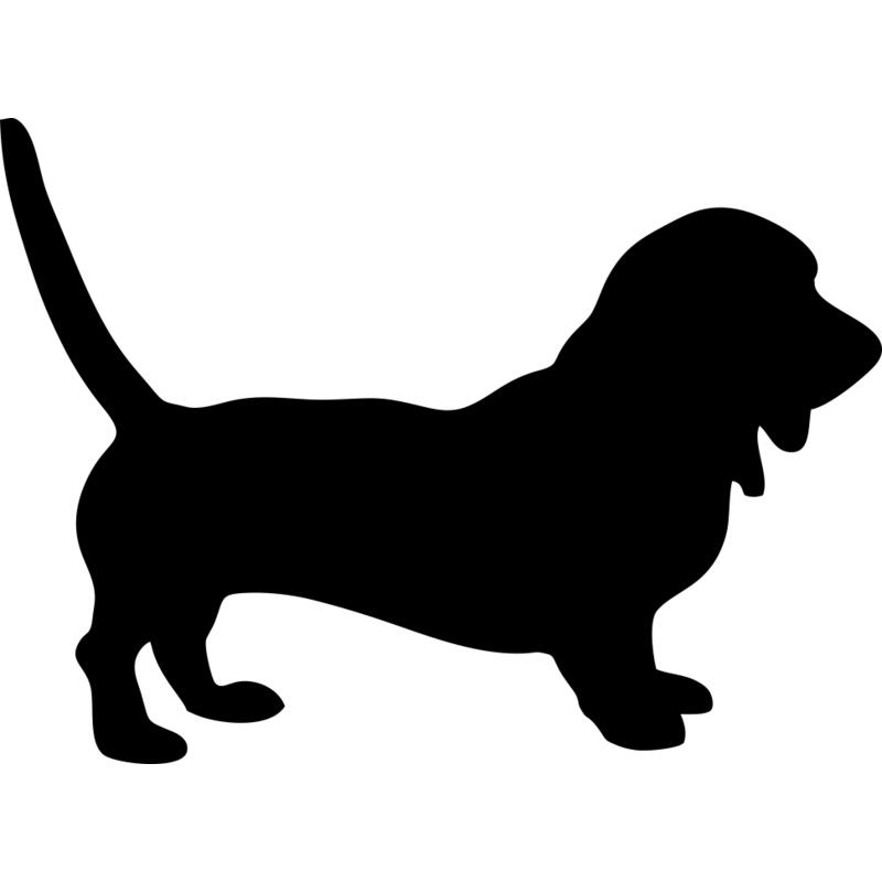 basset-hound Thumbnail