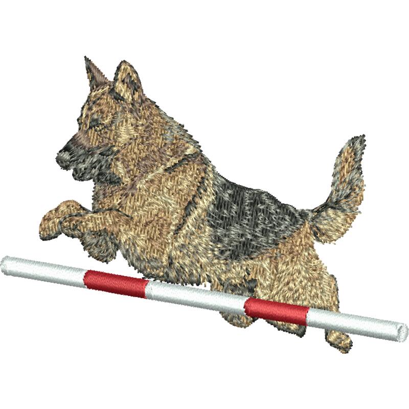 Alsation Agility Thumbnail