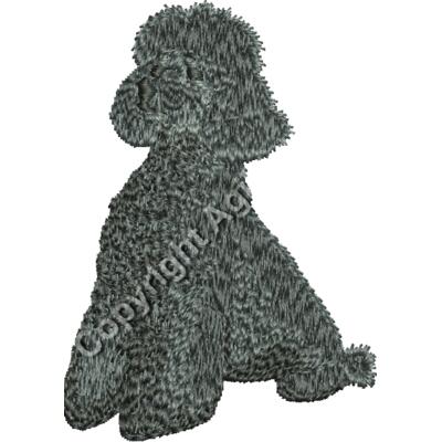 Black sitting poodle Thumbnail