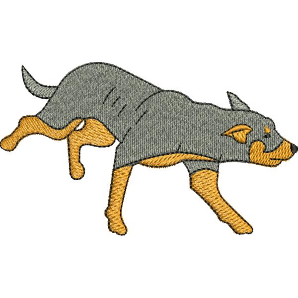 Silver kelpie Thumbnail