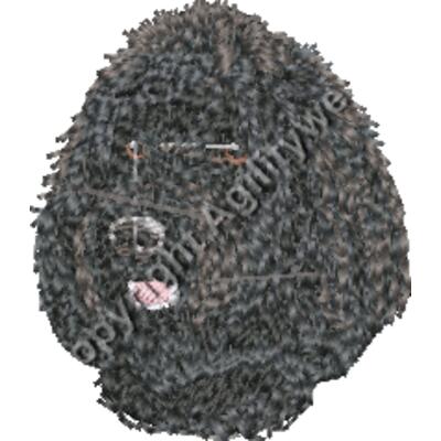 Black Doodle Thumbnail