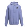 College hoodie Thumbnail