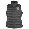 Women's ice bird padded gilet Thumbnail