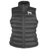 Women's ice bird padded gilet Thumbnail