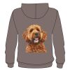 AWDis Street Hoodie Thumbnail
