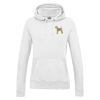 AWDis Ladies College Hoodie Thumbnail