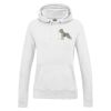 AWDis Ladies College Hoodie Thumbnail