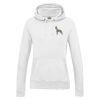 AWDis Ladies College Hoodie Thumbnail